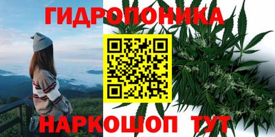 тгк Кимры