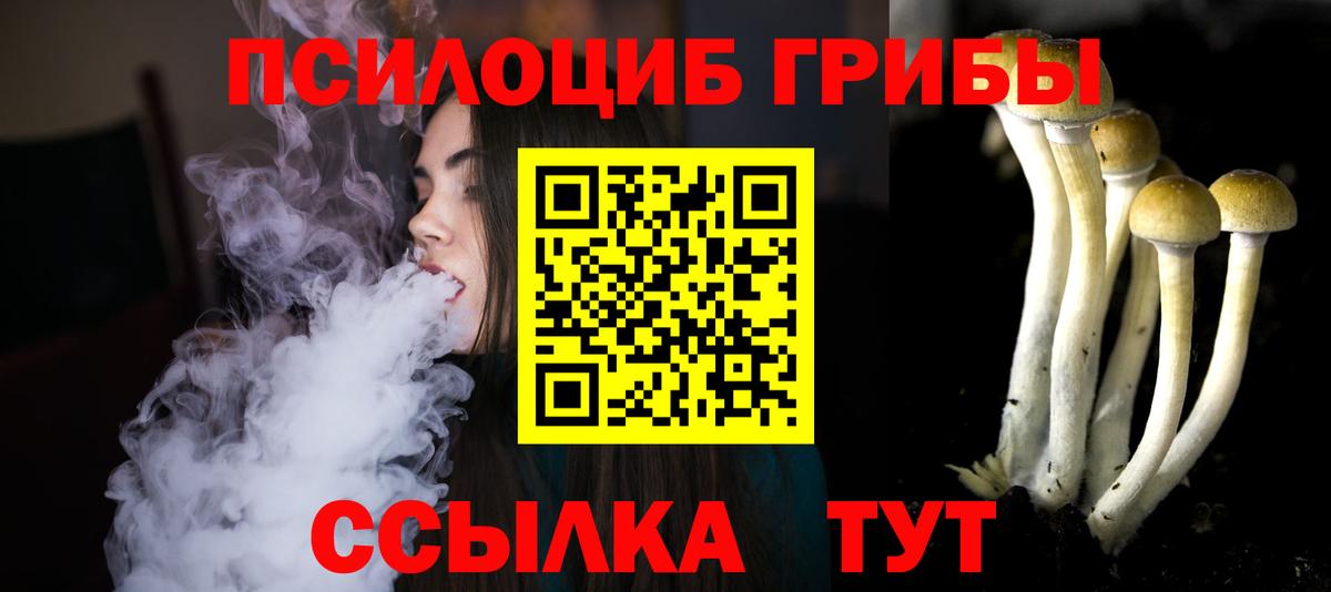 Советская Гавань  Псилоцибиновые грибы MAGIC MUSHROOMS  Вход с VPN 